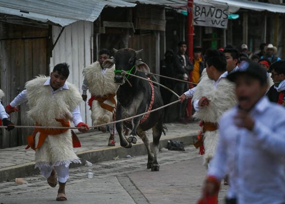 San Juan Chamula Carnival Ends With Running Of The Bulls A scene of bull running through the streets of San Juan Chamula on the last day of the annual carnival also known as K in Tajimoltic. On Tuesday, February 1, 2022, in San Juan Chamula, Chiapas, Mexico. San Juan Chamula Mexico  Copyright: xArturxWidakx originalFilename: widak-sanjuanc220301_np6jd.jpg