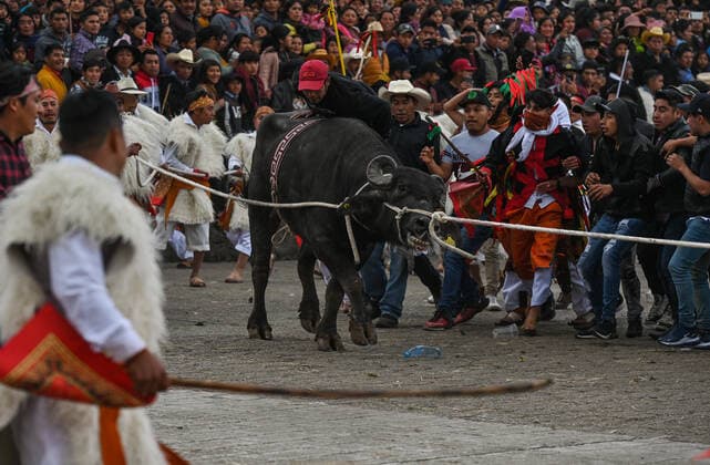 San Juan Chamula Carnival Ends With Running Of The Bulls A scene of bull running through the streets of San Juan Chamula on the last day of the annual carnival also known as K in Tajimoltic. On Tuesday, February 1, 2022, in San Juan Chamula, Chiapas, Mexico. San Juan Chamula Mexico  Copyright: xArturxWidakx originalFilename: widak-sanjuanc220301_npWC7.jpg