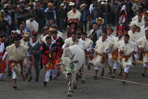 San Juan Chamula Carnival Ends With Running Of The Bulls A scene of bull running through the streets of San Juan Chamula on the last day of the annual carnival also known as K in Tajimoltic. On Tuesday, February 1, 2022, in San Juan Chamula, Chiapas, Mexico. San Juan Chamula Mexico  Copyright: xArturxWidakx originalFilename: widak-sanjuanc220301_npfLE.jpg