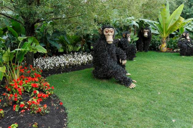 Affe, Pflanzenskulptur, Botanischer Garten, Montreal, Provinz Quebec, Kanada, Nordamerika *** Monkey, plant sculpture, botanical garden, Montreal, Quebec province, Canada, North America Copyright: imageBROKER GuentherxSchwermer iblgsc08169870.jpg