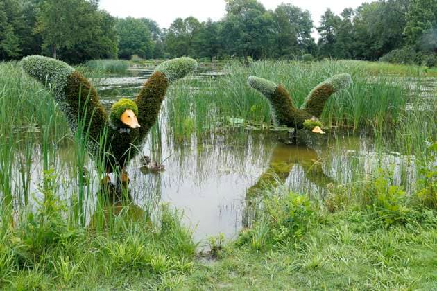 Ente, Pflanzenskulptur, Botanischer Garten, Montreal, Provinz Quebec, Kanada, Nordamerika *** Duck, plant sculpture, botanical garden, Montreal, province of Quebec, Canada, North America Copyright: imageBROKER GuentherxSchwermer iblgsc08169882.jpg