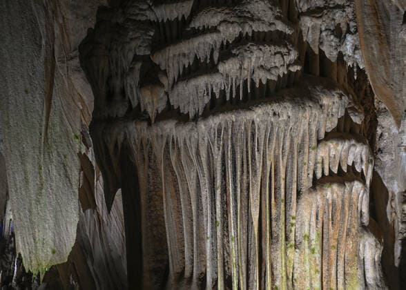Rancho Nuevo Caves View of pilars and shark tooth stalactites seen inside the Rancho Nuevo cave, one of the many caves in the mountains around the city of San Cristobal de las Casas, just off federal highway 190 towards Comitan. The cave was discovered by Vicente Kramsky in 1947 and has a total length of 10.2 km and a depth of 550 meters. On Sunday, March 6, 2022, in Rancho Nuevo Ecotourism Park, San Cristobal de las Casas, Chiapas, Mexico. San Cristobal de las Casas Mexico  Copyright: xArturxWidakx originalFilename: widak-ranchonu220306_npSbV.jpg