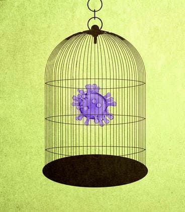 Coronavirus microorganism in a bird cage  Copyright: xGaryxWatersx 11592319