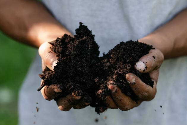 Closeup of two hands holding fresh soil in the sunshine Bridgeport, Connecticut, United States CR_CATO220314-950551-01 ,model released, Symbolfoto