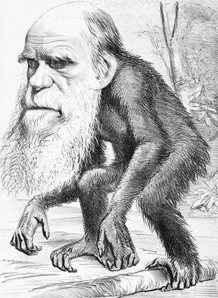 Charles Robert Darwin, FRS (12 February 1809 19 April 1882) was an English naturalist and geologist, best known for his contributions to evolutionary theory. He established that all species of life have descended over time from common ancestors, and in a joint publication with Alfred Russel Wallace introduced his scientific theory that this branching pattern of evolution resulted from a process that he called natural selection, in which the struggle for existence has a similar effect to the artificial selection involved in selective breeding.<br ><br > Darwin published his theory of evolution with compelling evidence in his 1859 book On the Origin of Species , overcoming scientific rejection of earlier concepts of transmutation of spe Supplier:xCPAxMediaxCo.xLtd. 1060_36_CPA0032022