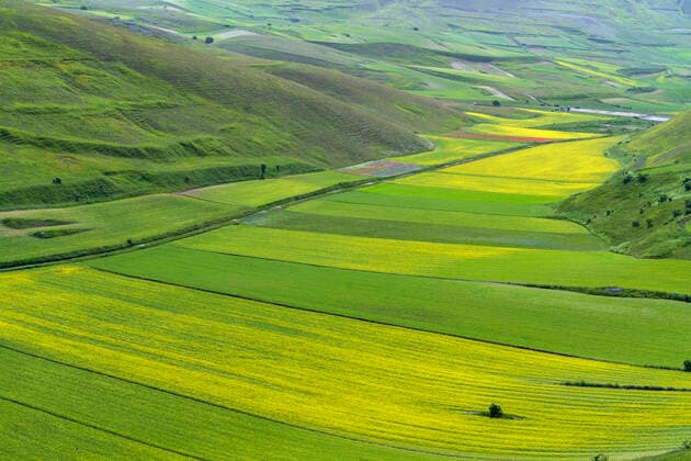 Sibillini Mountains National Park, summer flowering , Castelluccio di Norcia, Umbria, Italy, Europe MauroFlamini REDA&CO 1028_38_MFL17383