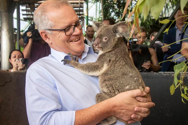 Entertainment Themen der Woche KW12 Entertainment Bilder des Tages SCOTT MORRISON TOURISM ANNOUNCEMENT, Prime Minister Scott Morrison holds Pavlova the koala at the Cairns Wildlife Dome in Cairns, Tuesday, March 22, 2022. ( NO ARCHIVING, EDITORIAL USE ONLY, NO USE IN BOOKS WITHOUT CONSENT CAIRNS QLD AUSTRALIA  Copyright: xBRIANxCASSEYx 20220322001638365391