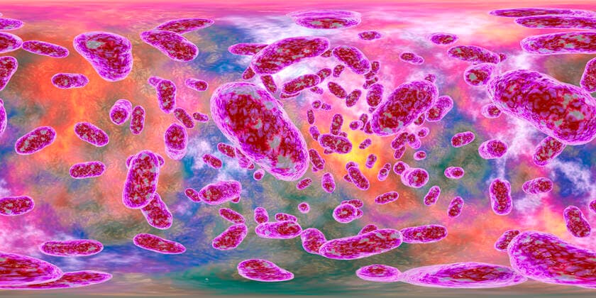 IMAGO Creative: Digitale Welt, Mixed Reality 360 degree panorama view of Porphyromonas gingivalis bacteria, 3D illustration. Bacteria that cause periodontal disease, bacterial vaginosis, model released, , property released, , 32414692.jpg, porphyromonas, gingivalis, periodontosis, 3d, illustration, periodontal, disease, periodontitis, dentistry, esophagus, esophageal, cancer, tumor, oncology, onco, rheumatoid, arthritis, joints, bacterium, microbe, microbiology, science, research, medicine, pathogenic, pathogen, gram-negative, anaerobe, anaerobic, intestine, oral cavity, microorganism, rod, colorful, p. gingivalis, bacteriology, bacteroidetes, chronic, Alzheimers, gingipain, gum, vr, 360, degree, panorama, spherical, virtual, reality, full