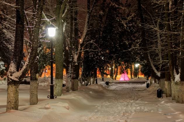 Winter park at night with decorations, lights, benches and trees., model released, , property released, , 32581346.jpg, winter, night, park, square, snow, scene, landscape, bench, evening, beautiful, shining, season, christmas, cold, seasonal, frost, nature, russia, europe, light, blue, snowy, forest, white, background, trees, lamp, peaceful, wood, snowfall, red, path, decorative, ice, xmas, february, december, january, Garlands, decoration, new, year,