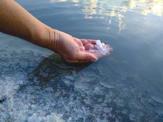 A piece of salt on the woman hand. Salt Lake. Natural salt. Ukrainian lake for salt production, model released, , property released, , 32623560.jpg, salt, landscape, lake, hand, sea, sun, background, natural, nature, mineral, travel, dead, crystal, water, white, vacation, salty, male, man, outdoor, blue, health, beauty, therapy, spa, shore, young, healthy, east, care, beach, skin, body, sparkle, formation, balls, shine, round, procedure, pieces, peeling, middle, medicine, lifestyle, israel, heal, ecological, jordan, wellness, saline