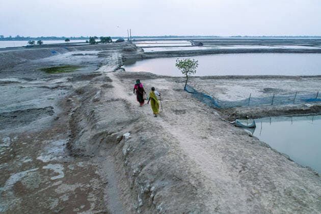 News Themen der Woche KW13 News Bilder des Tages Climate Change In Bangladesh Salinity effect seen in soil as a result trees has died after Cyclone amphan hit in Satkhira, Bangladesh on March 26, 2022. Dhaka Bangladesh  Copyright: xKazixSalahuddinxRazux originalFilename: salahuddin-notitle220326_npcJk.jpg