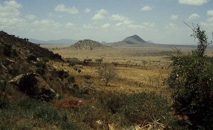 IMAGO Nature: Unsere Erde, Naturschutz, Naturschutzgebiete in Afrika african savanna with hills and grasslands, model released, , property released, , 33858904.jpg, Adventure, Africa, African, Kenya, Nature, Outdoor, Panorama, Park, Sky, Tree, Wild, bush, clouds, environment, flora, grass, grassland, landscape, maasai, masai, masai mara, national, natural, outdoors, outside, panoramic, plant, savanna, savannah, scenery, scenic, serengeti, travel, warm, wilderness