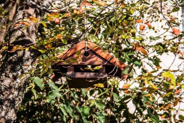 wooden birdhouse hangs in the autumn tree, model released, , property released, , 33919054.jpg, Colorful, Leaves, Nature, Tree, autumn, bird house, brown, feed box, feeding station, garden, green, hang up, organic, outdoors, plants, wooden