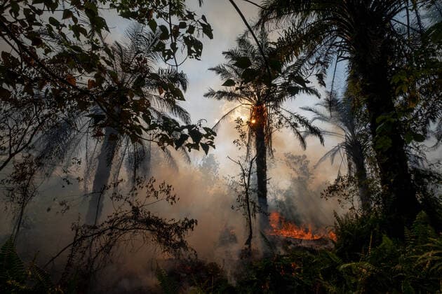 IMAGO Nature: Unsere Erde, Umweltverträgliche Herausforderungen, Palmöl Indonesia Fire A view of peat land fire at Tanjung Kudu Villagge in Kampar, Riau Province, Indonesia, on April 1, 2022 The fires and haze is mostly human-made, much of it the burning of forests for more palm oil plantation. Kampar Indonesia  Copyright: xAfriantoxSilalahix originalFilename: silalahi-notitle220402_np9by.jpg