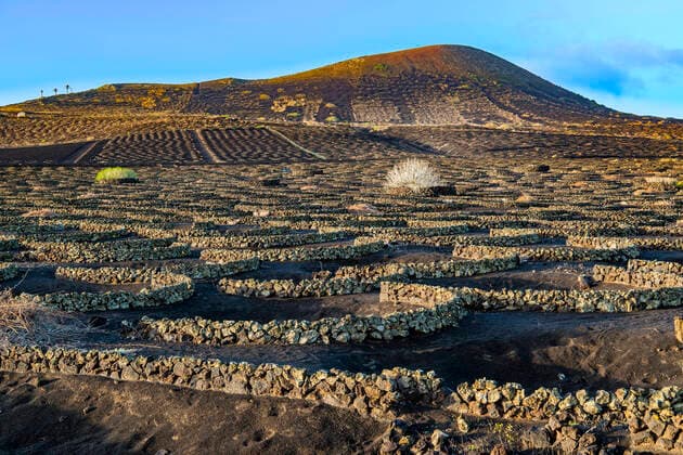 Weinstoecke mit Mauern aus Lavagestein, Weinanbau auf vulkanischer Asche in Trockenanbaumethode, Kanaren, Lanzarote, La Geria Grapevines with walls made of lava rocks in morning mist, vine cultivation on volcanic ash, dry cultivation method, Canary Islands, Lanzarote, La Geria BLWS664995 *** Grapevines with walls made of lava rocks in morning mist, vine cultivation on volcanic ash, dry cultivation method, Canary Islands, Lanzarote, La Geria BLWS664995 Copyright: xblickwinkel McPHOTO I.xSchulzx