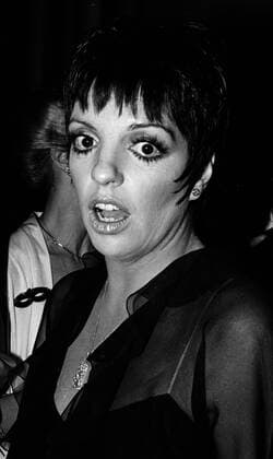 Liza Minnelli photographed At the Bel Air Hotel in Beverly Hills, 1980 Copyright: xRonxWolfsonx xMediaPunchx