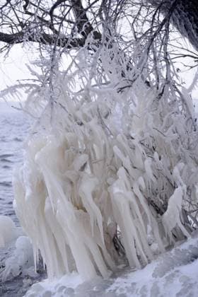 Beautiful Natural Ice Ornaments on the Trees. Unusual Winter Landscape , 10189012.jpg, icing, landscape, lake, frost, background, water, winter, blue, crystal, december, nature, snow, cold, ice, icy, frosty, seasonal, branch, tree, detail, macro, closeup, natural, temperature, plant, wood, covered, outdoor, beauty, cool, freeze, river, january, snowy, glacier, wonderland, white, mystical, february, scene, country, weather, cascade, splash, drop, environment, beautiful, spring, icicle, season,