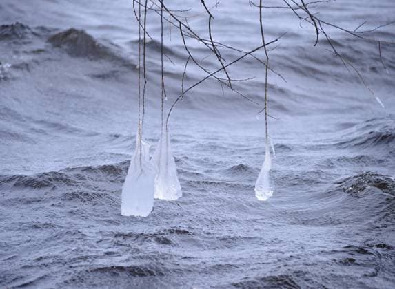 Long Beautiful and Unusual Icicles on the Tree Branches near River. Winter Landscape , 10189042.jpg, icing, landscape, lake, frost, background, water, winter, blue, crystal, december, nature, snow, cold, ice, icy, frosty, seasonal, branch, tree, detail, macro, closeup, natural, temperature, plant, wood, covered, outdoor, beauty, cool, freeze, river, january, snowy, glacier, wonderland, white, mystical, february, scene, country, weather, cascade, splash, drop, environment, beautiful, spring, icicle, season,