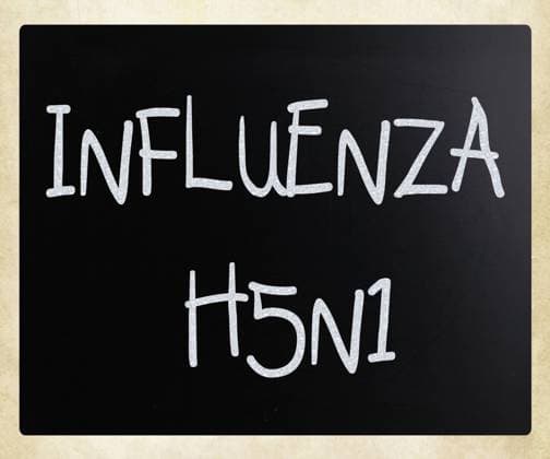 Images of the H5N1 Influenza Virus , 5298292.jpg, H5N1, abstract, alert, antibiotic, celcius, concept, conceptual, danger, disease, drug, epidemic, flu, global, h1n1, health, ill, illness, influenza, information, injection, kill, life, medical, medicament, medicine, message, needle, notice, object, pandemic, panic, pharmaceutical, pharmacy, pill, porcine, prescription, red, stop, swine, syringe, tablet, temperature, test, thermometer, vaccination, vaccine, virus, warning,