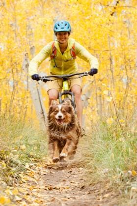IMAGO Creative: Fit durch den Herbst Young woman mountain biking with her dog in the fall United States, Colorado, Crested Butte CR_PEDO220329B6-955831-01 ,model released, Symbolfoto