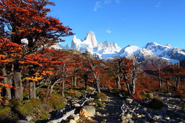 Creative Highlights World Beautiful nature landscape with Mt. Fitz Roy as seen in Los Glaciares National Park, Patagonia, Argentina , 12550142.jpg, andes, argentina, calafate, cerro, chalten, chile, climber, climbing, el chalten, fitz roy, fitzroy, glacier, high, high mountains, holiday, landscape, lovely, mendoza, mountain, national park, nature, panorama, patagonia, perito moreno, rock, roy, santa cruz, sea, snow, south america, summer, summit, tarn, travel, tree, trekking, untouched, view, water, wilderness, wilderness area, wood,