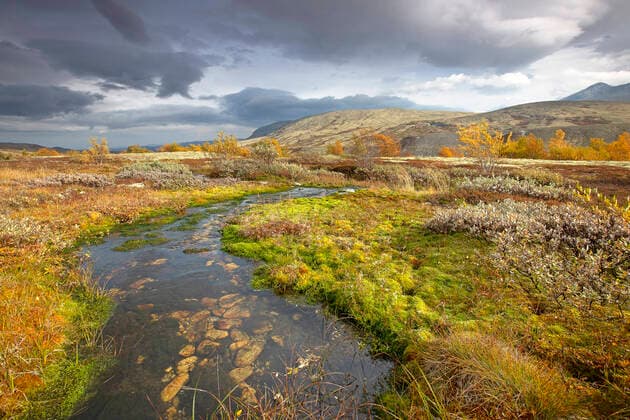 Creative Highlights World Herbststimmung im Rondane Nationalpark, Norwegen, Rondane Nationalpark, Opdal Autumn in Rondane National Park, Norway, Rondane National Park, Opdal BLWS665811 *** Autumn atmosphere in Rondane National Park, Norway, Rondane National Park, Opdal Autumn in Rondane National Park, Norway, Rondane National Park, Opdal BLWS665811 Copyright: xblickwinkel W.xPattynx