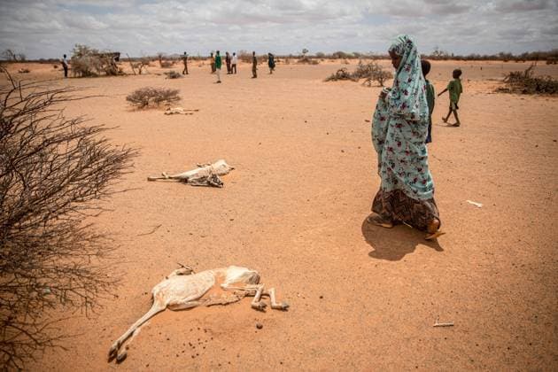 IMAGO Nature: Unsere Erde, Klimawandel, Dürren April 14, 2022, Dollow, Jubaland, Somalia: A child displaced by drought walks past the rotting carcasses of goats which died from hunger and thirst on the outskirts of Dollow, Somalia. Dollow Somalia - ZUMAs197 20220414_zab_s197_141 Copyright: xSallyxHaydenx