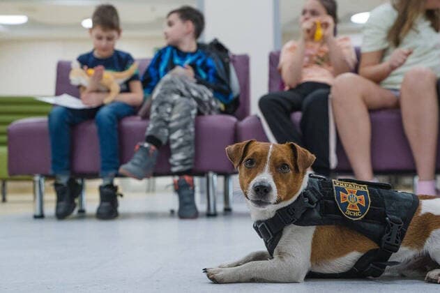 Patron - the Ukrainian bomb disposal squads tiniest canine member visiting Kyivs childrens hospital on Thursday 28April2022. The heroic hound, who has become something of a mascot to Chernihivs pyrotechnics teams cheered up the kids there as well as delivering a message on safety during wartime. The war will surely end, and every boy and girl who will finally be able to walk freely on their favourite streets should know that the enemy has left behind many insidious gifts , Ukrainian officials from the State Emergency Service SES said of Patrons current mission. That is why the SES Emergency Prevention Specialists conducted this important security event. Where: Kyiv, Kyiv Oblast, Ukraine When: 28 Apr 2022 Copyright: Copyright: xx imago0157469548h(1) EDITORIAL USE ONLY. NOT FOR USE BY NEWSPAPERS BASED IN THE UK.