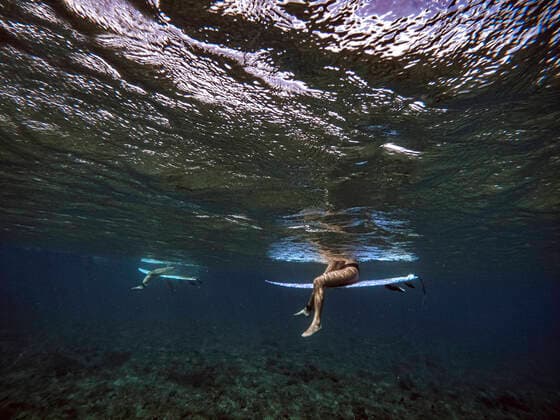 IMAGO Creative: Ruhe im Chaos Female surfer on surfboard, underwater view Himmafushi, North Central Province, Maldives CR_KOTRIN211010G-827496-01 ,model released, Symbolfoto