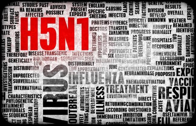 H5N1 Concept as a Medical Research Topic , 15963334.jpg, h5n1, bird flu, flu, bird, concept, medical, research, topic, treatment, avian, influenza, avian influenza, subtype, strain, infection, infectious, vaccine, vaccination, text, pandemic, outbreak, contain, containing, containment, awareness, medicine, abstract, background, virus, health, healthcare, prevent, prevention, immunity, sickness, danger, exposure, respiratory, illness, control, conceptual, illness, mutation, mutated, asia, spread, spreading, strain, strains, information, news,