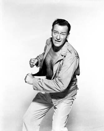 La taverne de l Irlandais Donovan s reef AnnÃ©e : 1963 USA RÃ©alisateur : John Ford John Wayne. It is forbidden to reproduce the photograph out of context of the promotion of the film. It must be credited to the Film Company and or the photographer assigned by or authorized by allowed on the set by the Film Company. Restricted to Editorial Use. Photo12 does not grant publicity rights of the persons represented. Copyright: xPhoto12 WolfTracerArchivex A7B11A01_324