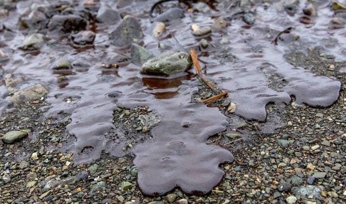 IMAGO Nature: Unsere Erde, Ressourcen, ErdÃ¶l PETROPAVLOVSK-KAMCHATSKY, KAMCHATKA TERRITORY, RUSSIA - MAY 13, 2022: An oil spill occurs in Avacha Bay. A response team of the Center for Civil Defense, Emergency Situations and Fire Safety of the Kamchatka Territory has arrived at the site and discovered the 15-centimeter-wide and 500-meter-long oil spill. Yelena Vereshchaka TASS  TS130F2C