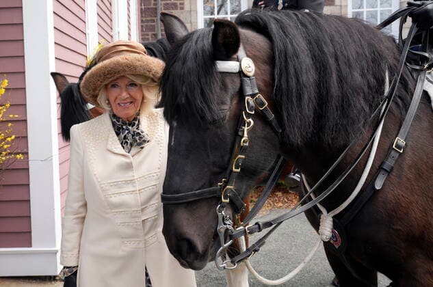 May 17, 2022, St. John s, NL, Canada: Camilla, Duchess of Cornwall poses with a horse during welcoming ceremonies in St. John s during the start a three-day Canadian Royal tour, Tuesday, May 17, 2022. St. John s Canada  - ZUMAc35_ 20220517_zaf_c35_137 Copyright: xPaulxChiassonx