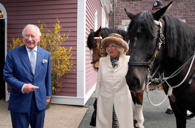 May 17, 2022, St. John s, NL, Canada: Prince Charles and Camilla, Duchess of Cornwall pose next to a horse during welcoming ceremonies in St. John s during the start a three-day Canadian Royal tour, Tuesday, May 17, 2022. St. John s Canada  - ZUMAc35_ 20220517_zaf_c35_138 Copyright: xPaulxChiassonx