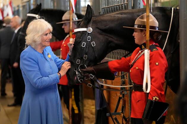 May 18, 2022, Ottawa, ON, Canada: Camilla, Duchess of Cornwall, pats a horse, part of the RCMP Musical Ride, in Ottawa on their Canadian Royal Tour, Wednesday, May 18, 2022. Ottawa Canada - ZUMAc35_ 20220518_zaf_c35_099 Copyright: xPaulxChiassonx