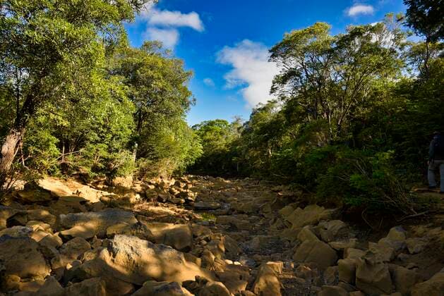 IMAGO Nature: Unsere Erde, Naturschutz, Naturschutzgebiete in Afrika Trockenes Flussbett im Ankarana Nationalpark im Norden Madagaskars, Madagaskar, Afrika *** Dry riverbed in Ankarana National Park in northern Madagascar, Madagascar, Africa Copyright: imageBROKER/ThorstenxNegro ibltan08303416.jpg