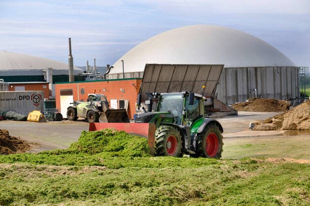 Anfahren und Verdichten von Gruenroggen auf einer Biogasanlage zur Herstellung von Strom im Nordharz. Gruenroggen ist eine Silage aus unreifem Roggen. Sie dient als Grundfuttermittel vor allem fuer Wiederkaeuer sowie als Gaersubstanz in Biogasanlagen (Energiegras). GPS-verdichten auf einer Biogasanlage *** Start-up and compaction of green rye on a biogas plant for the production of electricity in the northern Harz region Green rye is a silage made from immature rye It is used as a basic feedstuff, especially for ruminants, and as a digestate in biogas plants Energy grass GPS compaction on a biogas plant