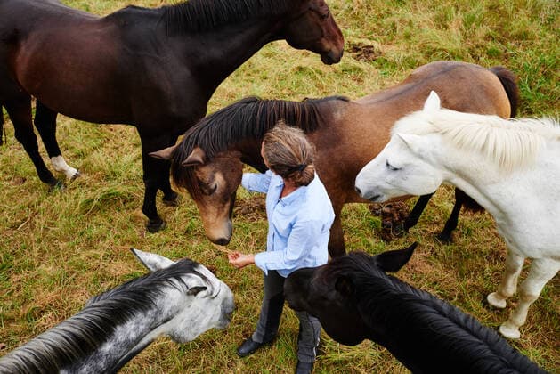 Creative Highlights Symbolbilder Overhead view of woman amongst five horses in field, 02.03.2017, Copyright: xConnyxMarshausx, model released, feeding,wearing,petting,hobby,animal,horse,five animals,working animal,full length,overhead view,real people,bonding,harmony,togetherness,trust,nature,30 to 34 years,mid adult woman,only one mid adult woman,one person,germany,outdoors,rural,field landscape,day,casual clothing,shirt,jeans,lifestyle,leisure,enjoyment,only female,Star Images,beauty in nature,animal themes,thuringia,stablehand,among,docile,March 2017 Release,Feeding,Stroking,Mid Adult,30-34 Years,Female,Women,Mid Adult Women,Only Mid Adult Women,One Mid Adult Woman Only,Enjoyment,Harmony,Relationship,Bonding,Togetherness,Trust,Tame,Small Group Of Animals,Five Animals IS09B555P