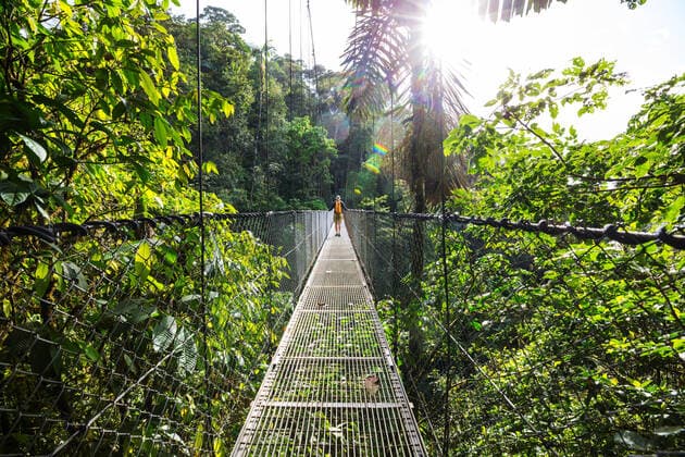 IMAGO Nature: Unsere Erde, Umweltverträgliche Herausforderungen des 21. Jahrhunderts, Regenwald Hiking in green tropical jungle, Costa Rica, Central America, model released, , 26209412.jpg, adventure, alone, america, arenal, backpacker, bridge, bush, central, costa, costa rica, day trip, environmental, extreme, footbridge, forest, green, hanging, hike, hiker, hiking, journey, jungle, landscape, mountain, mountaineer, national, natural, nature, outdoor, park, path, pathway, plant, rain, rainforest, rica, scenic, summer, terrain, tourism, tourist, trail, travel, trees, trekking, tropical, watching, waterfall, way,