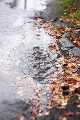 IMAGO Creative, Jahreszeit Herbst auf dem Land Autumn background. Puddle with falling leaves on pavement under , 27178768.jpg, Puddle, Rain, Raindrop, Fall, Water, Drip, Dripping, Splash, Splashing, Country, Drop, Leaf, Weather, Pavement, Roadway, Street, Road, Cobblestone, Stone, Outdoor, City, Urban, Autumn, Season, Background, Way, Town, Village, Nobody, No People, Province, Provincial, Walking, Air, View, Alley, Pathway, Reflection, Sadness, Closeup, Macro, Abstract, Ecology, Environment, Urban Life,