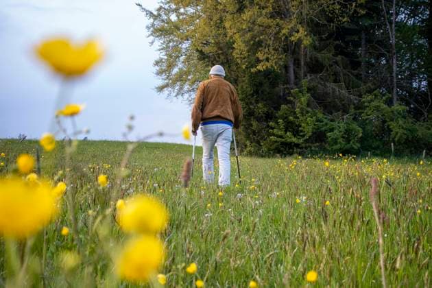 Senior man walking with hiking poles in meadow model released, Symbolfoto, MAMF02230