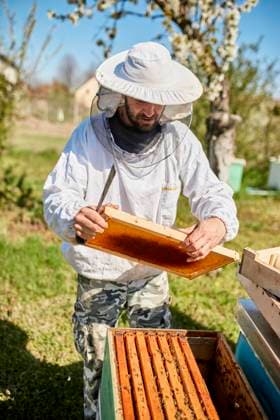 IMAGO Creative: Bienenzucht IMAGO Creative: UN Welt-Habitat-Tag am 3. Oktober Beekeeper holding beehive frame standing by container at farm model released, Symbolfoto, ZEDF04511