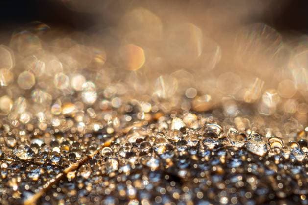 Dew drops on an autumn fallen leaf, shimmering in the sun, shot in close-up with bokeh. Abstract macro background. , 34463328.jpg, dew, autumn leaves, sunshine, bokeh, sunbeam, drop, sun, flare, leaf, droplet, abstract, background, nature, autumn, texture, fall, light, bright, closeup, macro, outdoor, morning, season, wet, yellow, shiny, fallen, brown, waterdrop, sunlight, dew drop, ray, beam, blur, soft focus, glare, reflection,