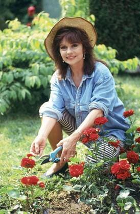 Pascale Petit, 1990 French actress Pascale Petit, in her property in the Chevreuse Valley near Paris. 1990 Photo Jacques Loew Copyright: xJacquesxLoew Photo12x LWE21A00_471