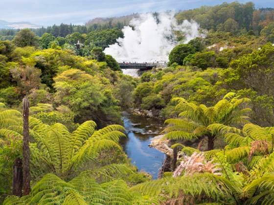 The spectacular geothermal area of Rotorua in New Zealand s North Island. Copyright: xLoopxImages Apexphotosx APEX01422WT208