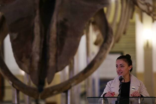 Santiago, May 27, 2022 The National Museum of Natural History located in the district of Quinta Normal, presents the evolutionary history of cetaceans on Heritage Day Mario Ruiz Ministry of Cultures, Arts and Heritage via Aton Chile, Santiago Chile Aton 610703  Copyright: MarioxRuiz MinisterioxdexlasxCulturas,xlasxArtesxyxelxPatrimonioxviaxAtonxChile