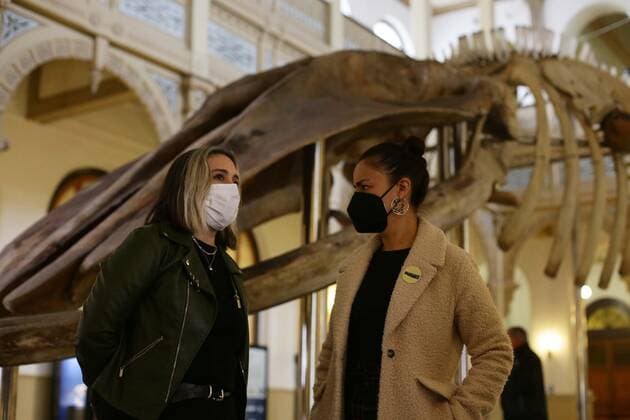 Santiago, May 27, 2022 The National Museum of Natural History located in the district of Quinta Normal, presents the evolutionary history of cetaceans on Heritage Day Mario Ruiz Ministry of Cultures, Arts and Heritage via Aton Chile, Santiago Chile Aton 610717  Copyright: MarioxRuiz MinisterioxdexlasxCulturas,xlasxArtesxyxelxPatrimonioxviaxAtonxChile