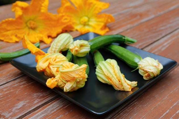 IMAGO Creative, Food, Zucchiniblüten Süddeutsche Küche, frische Zucchiniblüten mit Zucchini (Cucurbita pepo var. giromontiina) auf Teller, vegetarisch, gesunde Küche, kochen, Gemüse, Deutschland, Europa *** Süddeutsche Kitchen, Freshness Zucchini flowers with Zucchini Cucurbita Pepo Var giromontiina at Plate, vegetarian, Healthy Kitchen, Cook, Vegetables, Germany, Europe Copyright: imageBROKER KatharinaxHild ibxkah07209623.jpg