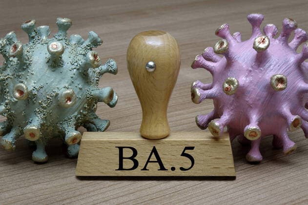 Coronamodelle und Stempel mit BA.5 Coronamodelle und Stempel mit BA.5, 04.06.2022, Borkwalde, Brandenburg, Zwischen zwei Coronamodellen steht ein Stempel mit dem Schriftzug BA.5. *** Coronamodelle und Stempel mit BA 5 Coronamodelle und Stempel mit BA 5, 04 06 2022, Borkwalde, Brandenburg, Between two coronamodels is a stamp with the writing BA 5