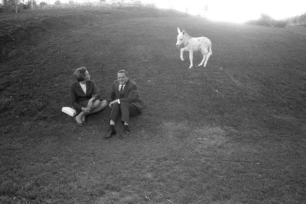 Franz Josef STRAUSS und Ehefrau Marianne, Deutschland, Politiker, CSU, bayrischer Ministerpraesident, sitzt im Gras, im Hintergrund springt ein Eselfohlen, Schwarzweissaufnahme, bei seiner Persien-Reise (Iran), September 1966, *** Franz Josef STRAUSS and wife Marianne, Germany, politician, CSU, Bavarian State Premier, sitting in the grass, a donkey foal jumping in the background, black and white photo, during his Persia trip Iran , September 1966,